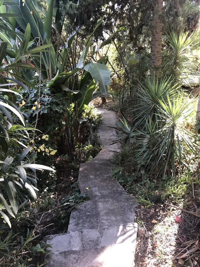 Casa Simba B&B (Adults Only) Estepona İspanya