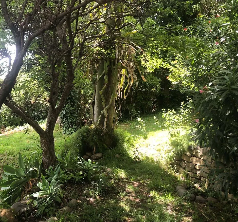 Casa Simba B&B (Adults Only) Estepona 0*,