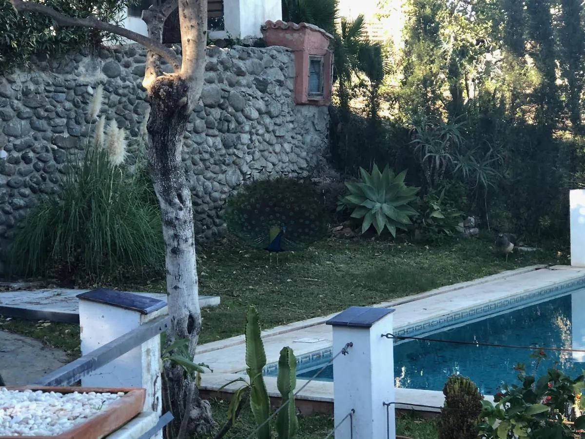 Casa Simba B&B (Adults Only) Estepona 0*,
